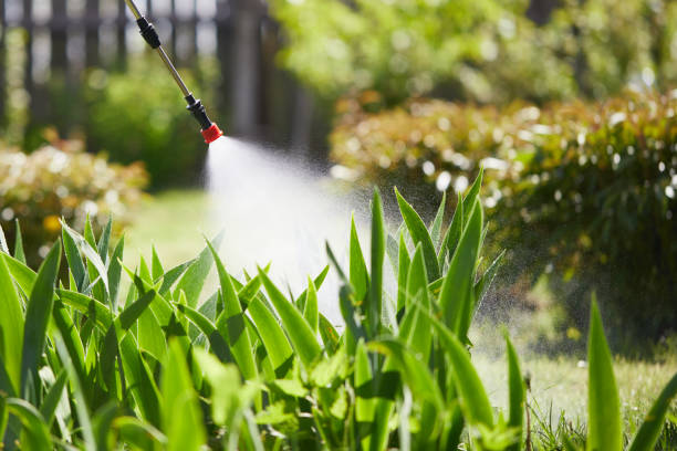24/7 Emergency Fumigation Services experts in Columbia, KY