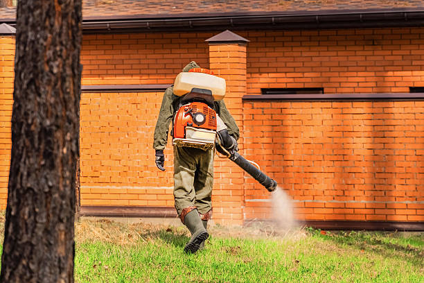 Trusted Emergency Pest Control service in Columbia, KY - Nex Pest Control